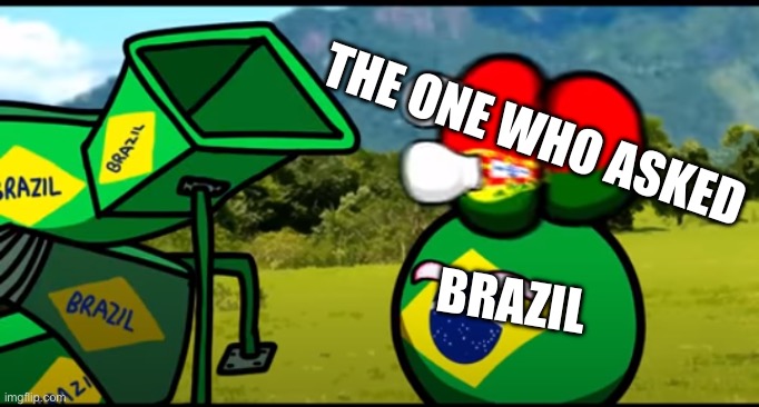 ?? | THE ONE WHO ASKED; BRAZIL | image tagged in you're going to brazil | made w/ Imgflip meme maker