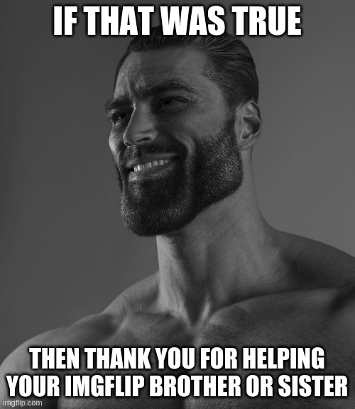 Giga Chad | IF THAT WAS TRUE THEN THANK YOU FOR HELPING YOUR IMGFLIP BROTHER OR SISTER | image tagged in giga chad | made w/ Imgflip meme maker