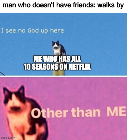 [insert clever title here] | man who doesn't have friends: walks by; ME WHO HAS ALL 10 SEASONS ON NETFLIX | image tagged in hail pole cat | made w/ Imgflip meme maker