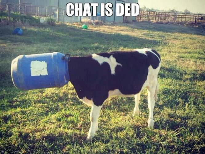 Bucket Cow | CHAT IS DED | image tagged in bucket cow | made w/ Imgflip meme maker
