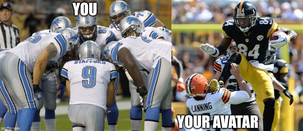 YOU; YOUR AVATAR | image tagged in detroit lions,steelers karate | made w/ Imgflip meme maker