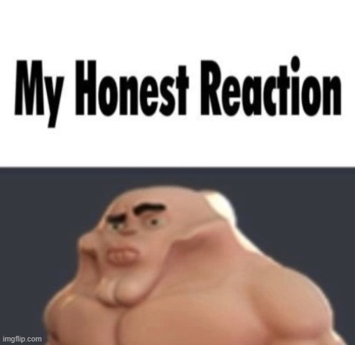 my honest reaction | image tagged in my honest reaction | made w/ Imgflip meme maker