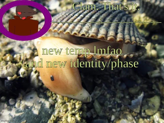 c | new temp lmfao and new identity/phase | made w/ Imgflip meme maker