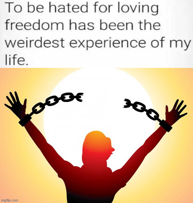 freedom | image tagged in freedom | made w/ Imgflip meme maker