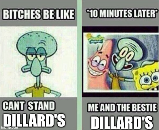 Me And The Bestie | DILLARD'S; DILLARD'S | image tagged in me and the bestie | made w/ Imgflip meme maker
