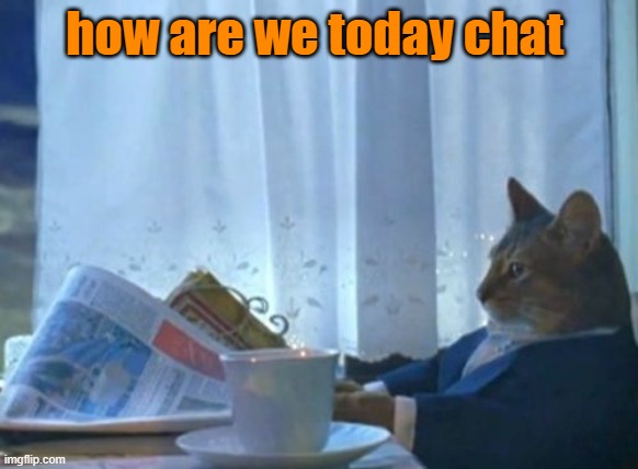 newspaper | how are we today chat | image tagged in memes,i should buy a boat cat | made w/ Imgflip meme maker
