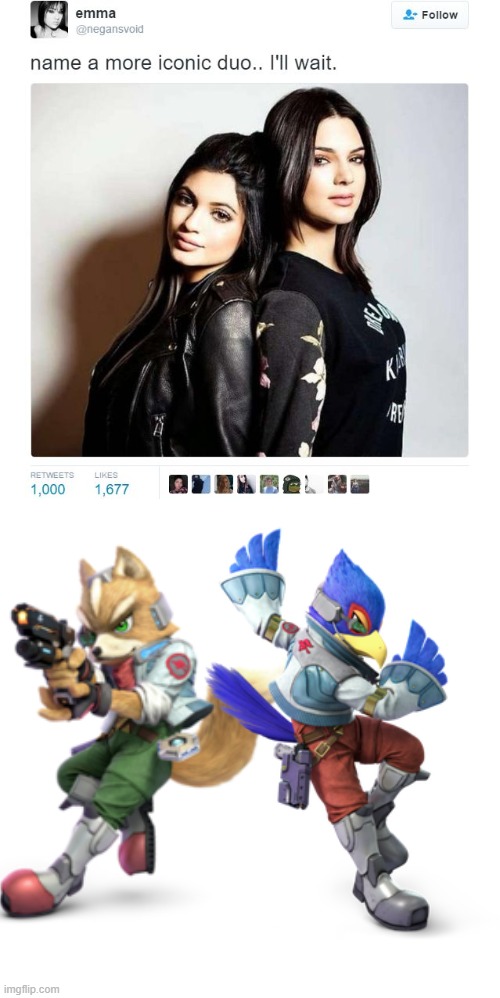Name a More Iconic Duo | image tagged in star fox | made w/ Imgflip meme maker