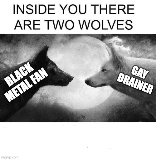 Inside you there are two wolves | GAY DRAINER; BLACK METAL FAN | image tagged in inside you there are two wolves | made w/ Imgflip meme maker