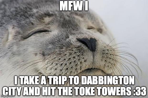 Satisfied Seal | MFW I; I TAKE A TRIP TO DABBINGTON CITY AND HIT THE TOKE TOWERS :33 | image tagged in memes,satisfied seal | made w/ Imgflip meme maker