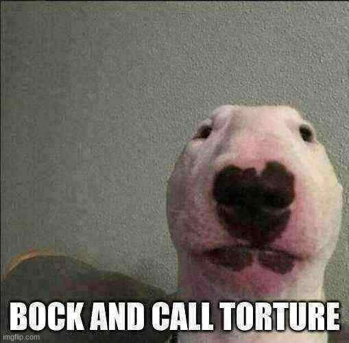 bock and calls | BOCK AND CALL TORTURE | image tagged in real,hol up,shitpost | made w/ Imgflip meme maker