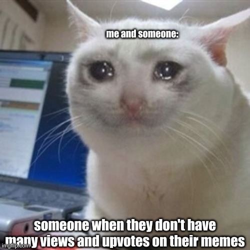 WAAA | me and someone:; someone when they don't have many views and upvotes on their memes | image tagged in crying cat,someone who make memes | made w/ Imgflip meme maker