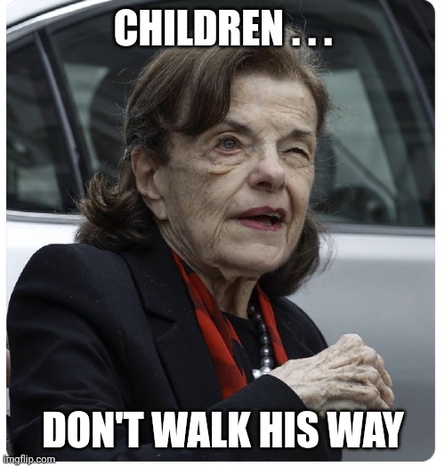 Senator Diane Feinstein | CHILDREN . . . DON'T WALK HIS WAY | image tagged in senator diane feinstein | made w/ Imgflip meme maker