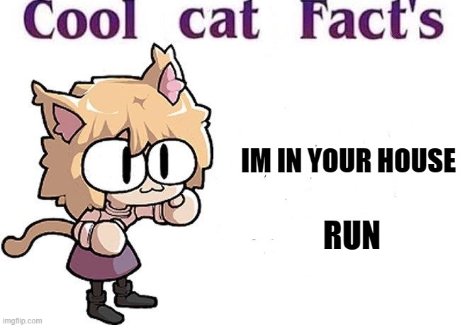 cool cat facts | IM IN YOUR HOUSE; RUN | image tagged in neko arc,cool cat facts | made w/ Imgflip meme maker