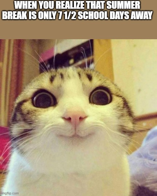 Smiling Cat | WHEN YOU REALIZE THAT SUMMER BREAK IS ONLY 7 1/2 SCHOOL DAYS AWAY | image tagged in memes,smiling cat | made w/ Imgflip meme maker