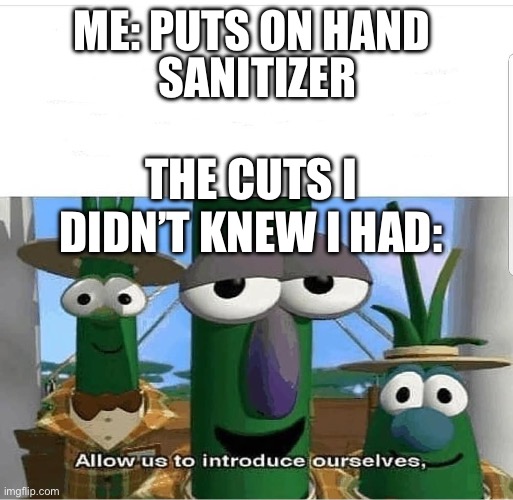 Bruh | ME: PUTS ON HAND; SANITIZER; THE CUTS I DIDN’T KNEW I HAD: | image tagged in allow us to introduce ourselves | made w/ Imgflip meme maker