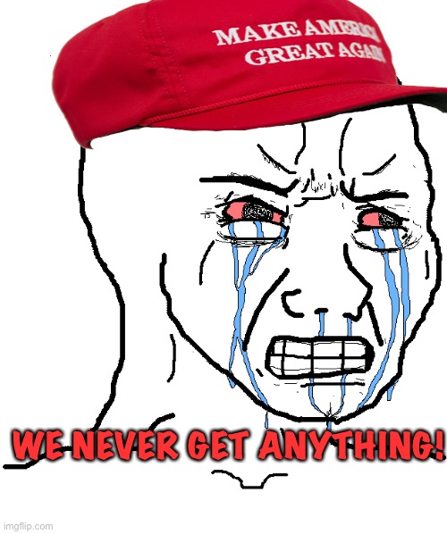cry wojak | WE NEVER GET ANYTHING! | image tagged in cry wojak | made w/ Imgflip meme maker