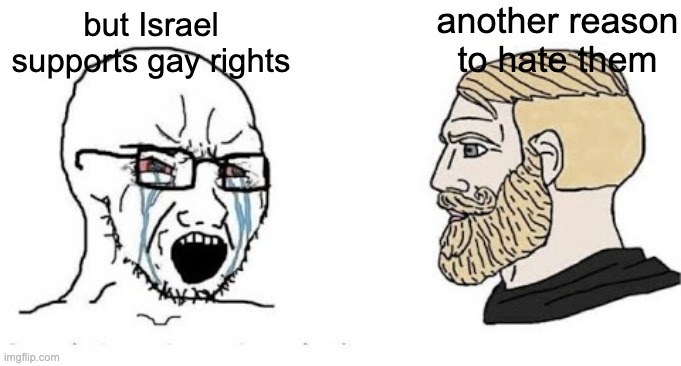 fr lmao | another reason to hate them; but Israel supports gay rights | image tagged in soyjak vs chad | made w/ Imgflip meme maker