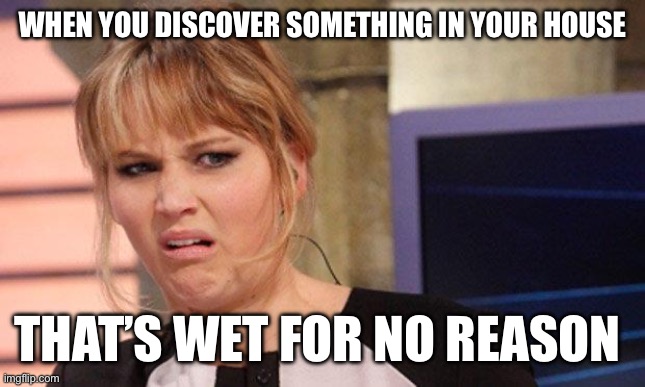 Grossed out  | WHEN YOU DISCOVER SOMETHING IN YOUR HOUSE; THAT’S WET FOR NO REASON | image tagged in grossed out | made w/ Imgflip meme maker