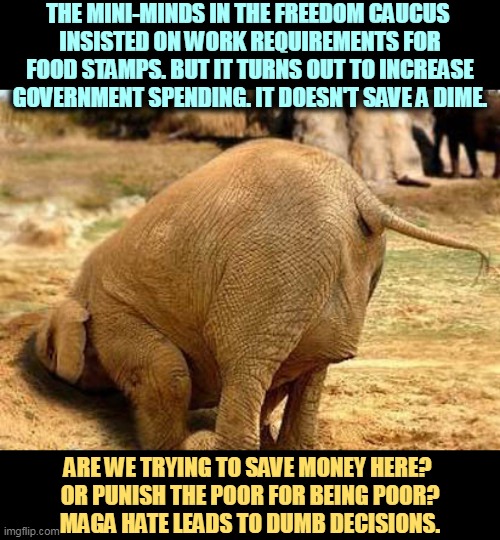 A bad idea and a waste of the taxpayers' money. | THE MINI-MINDS IN THE FREEDOM CAUCUS 
INSISTED ON WORK REQUIREMENTS FOR FOOD STAMPS. BUT IT TURNS OUT TO INCREASE GOVERNMENT SPENDING. IT DOESN'T SAVE A DIME. ARE WE TRYING TO SAVE MONEY HERE? 
OR PUNISH THE POOR FOR BEING POOR?
MAGA HATE LEADS TO DUMB DECISIONS. | image tagged in freedom,maga,hate,poor,waste,money | made w/ Imgflip meme maker