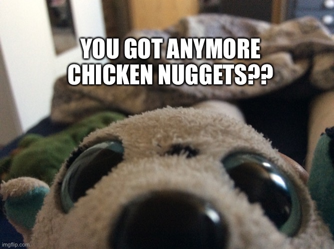 Well??? Do you??? | YOU GOT ANYMORE CHICKEN NUGGETS?? | image tagged in puppy al up in yo face,new temp,yay | made w/ Imgflip meme maker