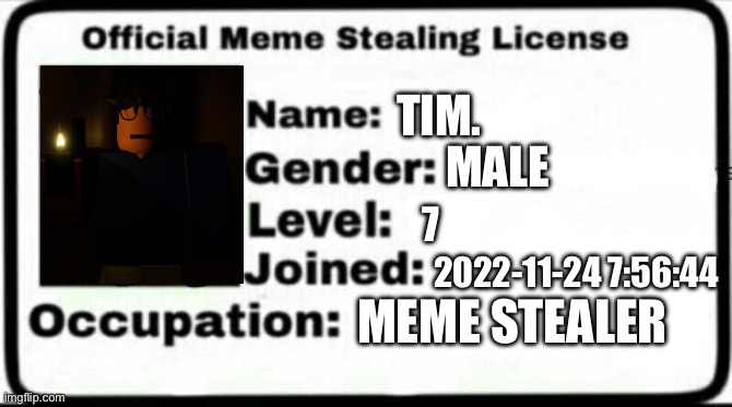 Meme Stealing License | TIM. MALE; 7; 2022-11-24 7:56:44; MEME STEALER | image tagged in meme stealing license | made w/ Imgflip meme maker
