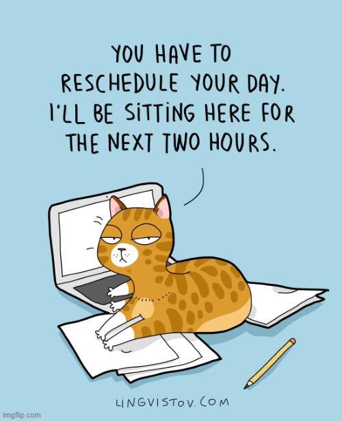 A Cat's Way Of Thinking | image tagged in memes,comics/cartoons,cats,laptop,new rules,today | made w/ Imgflip meme maker