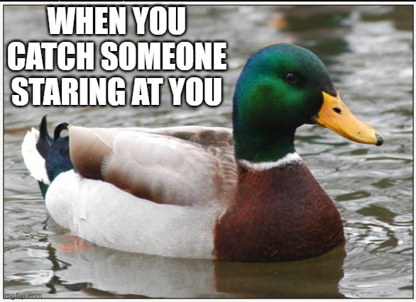 Bruh. | WHEN YOU CATCH SOMEONE STARING AT YOU | image tagged in my meme | made w/ Imgflip meme maker