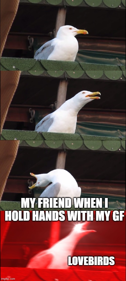 Inhaling Seagull Meme | LOVEBIRDS MY FRIEND WHEN I HOLD HANDS WITH MY GF | image tagged in memes,inhaling seagull | made w/ Imgflip meme maker