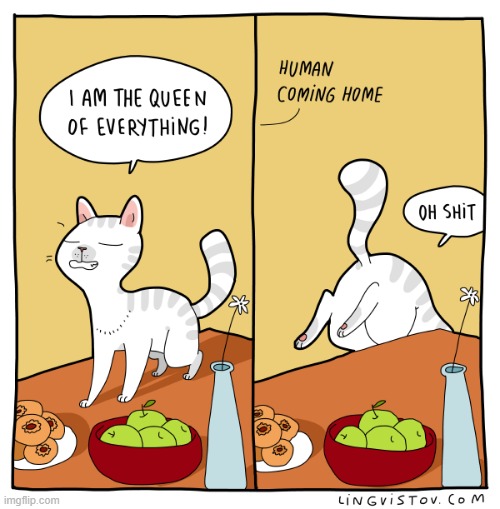A Cat's Way Of Thinking | image tagged in memes,comics/cartoons,cats,the queen,human,oh shit | made w/ Imgflip meme maker