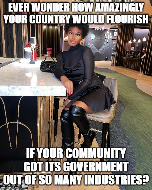 EVER WONDER HOW AMAZINGLY YOUR COUNTRY WOULD FLOURISH; IF YOUR COMMUNITY GOT ITS GOVERNMENT OUT OF SO MANY INDUSTRIES? | made w/ Imgflip meme maker