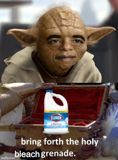 Noooooo | image tagged in bring forth the holy bleach grenade,yoda,star wars,cursed,cursed image,memes | made w/ Imgflip meme maker