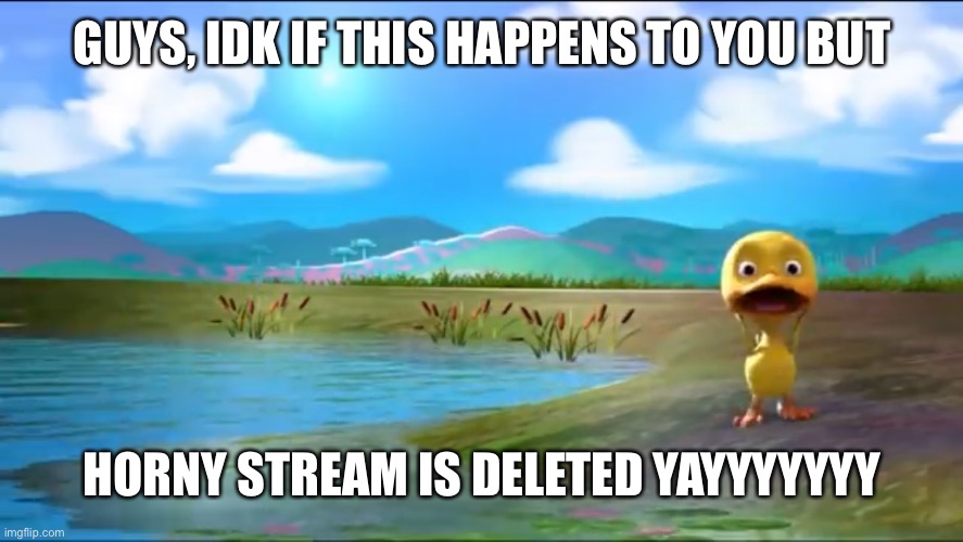 Yay | GUYS, IDK IF THIS HAPPENS TO YOU BUT; HORNY STREAM IS DELETED YAYYYYYYY | image tagged in surprised duck | made w/ Imgflip meme maker