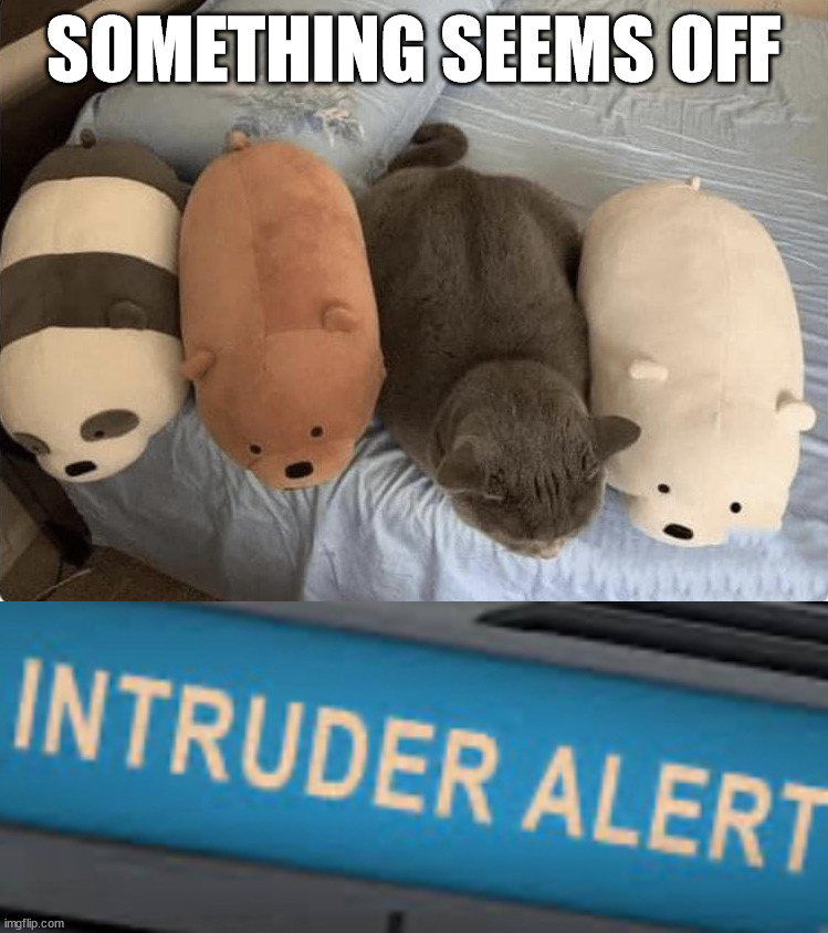 SOMETHING SEEMS OFF | image tagged in intruder alert | made w/ Imgflip meme maker