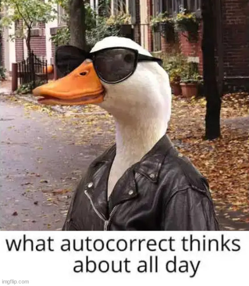 Ducking the problem | image tagged in ducks | made w/ Imgflip meme maker