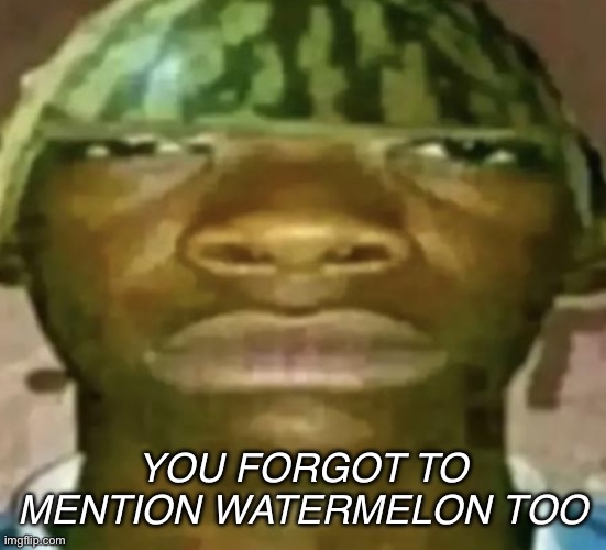 Watermelon Hat | YOU FORGOT TO MENTION WATERMELON TOO | image tagged in watermelon hat | made w/ Imgflip meme maker