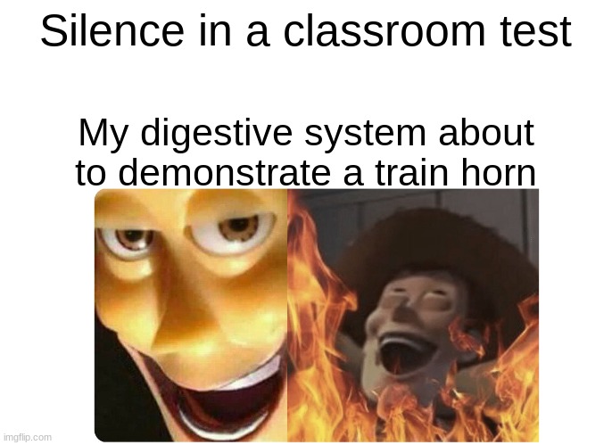 this man only speaks the truth | Silence in a classroom test; My digestive system about to demonstrate a train horn | image tagged in satanic woody | made w/ Imgflip meme maker