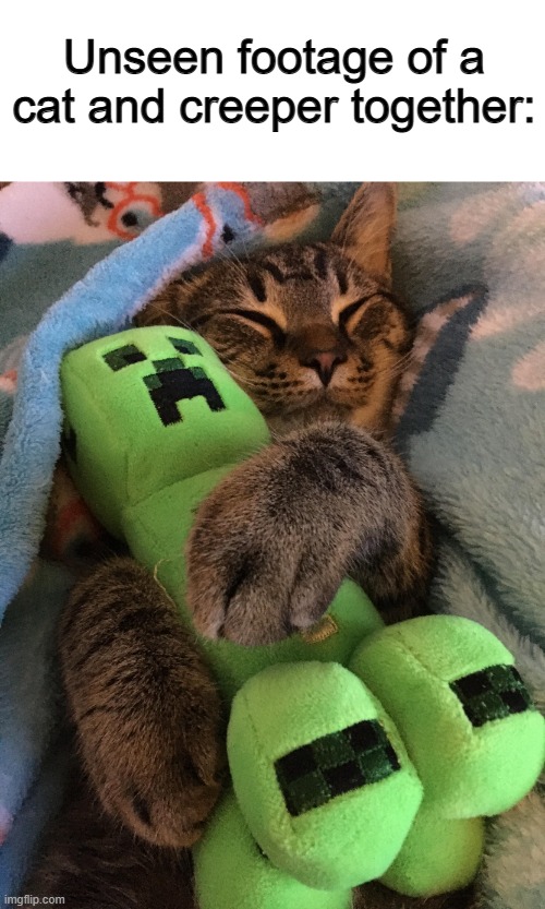 Impossible :0 | Unseen footage of a cat and creeper together: | image tagged in cat hugging creeper | made w/ Imgflip meme maker