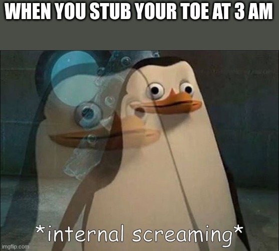 Private Internal Screaming | WHEN YOU STUB YOUR TOE AT 3 AM | image tagged in private internal screaming | made w/ Imgflip meme maker