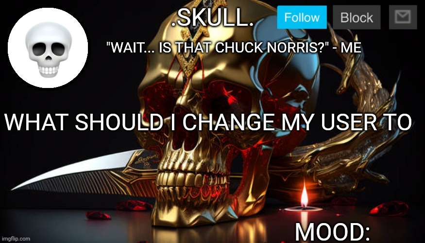 Pls give actually good ideas | "WAIT... IS THAT CHUCK NORRIS?" - ME; WHAT SHOULD I CHANGE MY USER TO | image tagged in skull announcement temp 3 | made w/ Imgflip meme maker