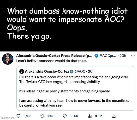 take her seriously if you are equipped to go where few brians have gone before | What dumbass know-nothing idiot 
would want to impersonate AOC?
Oops,
There ya go. | image tagged in meme,politics,memes,aoc | made w/ Imgflip meme maker