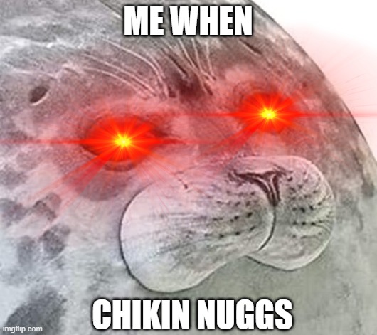 chikin nuggs | ME WHEN; CHIKIN NUGGS | image tagged in so true | made w/ Imgflip meme maker