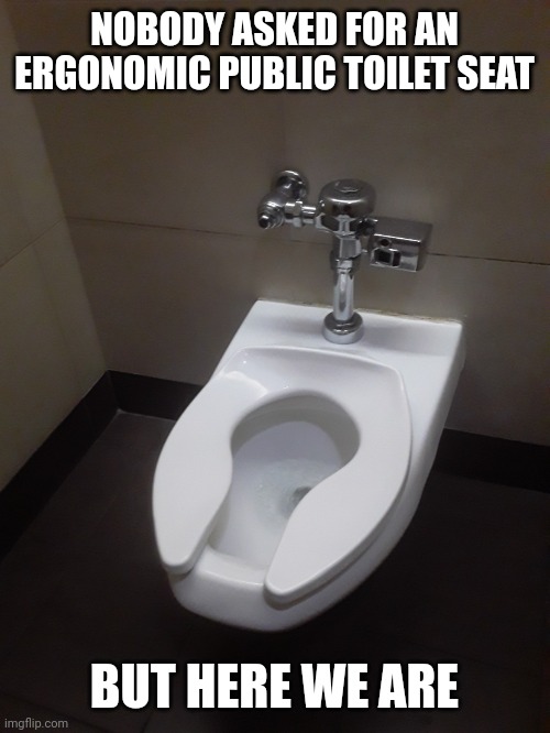 Gross... | NOBODY ASKED FOR AN ERGONOMIC PUBLIC TOILET SEAT; BUT HERE WE ARE | image tagged in ergonomic toilet | made w/ Imgflip meme maker
