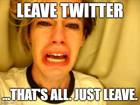 Leave Britney Alone | LEAVE TWITTER; ...THAT'S ALL. JUST LEAVE. | image tagged in leave britney alone | made w/ Imgflip meme maker