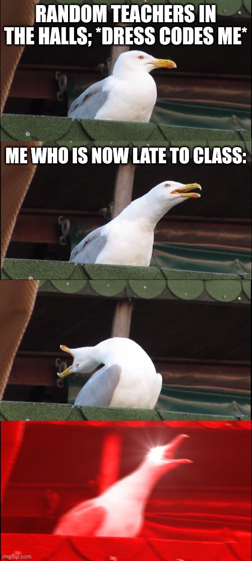 ... band always takes so long to OPEN THE DOOR. (It's always locked) | RANDOM TEACHERS IN THE HALLS; *DRESS CODES ME*; ME WHO IS NOW LATE TO CLASS: | image tagged in memes,inhaling seagull | made w/ Imgflip meme maker