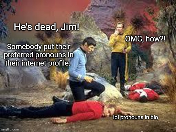 Why, yes, that *is* what profile bios are for... | He's dead, Jim! OMG, how?! Somebody put their preferred pronouns in their internet profile. lol pronouns in bio | image tagged in star trek | made w/ Imgflip meme maker