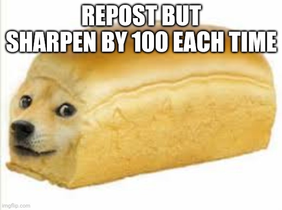 Doge bread | REPOST BUT SHARPEN BY 100 EACH TIME | image tagged in why not | made w/ Imgflip meme maker