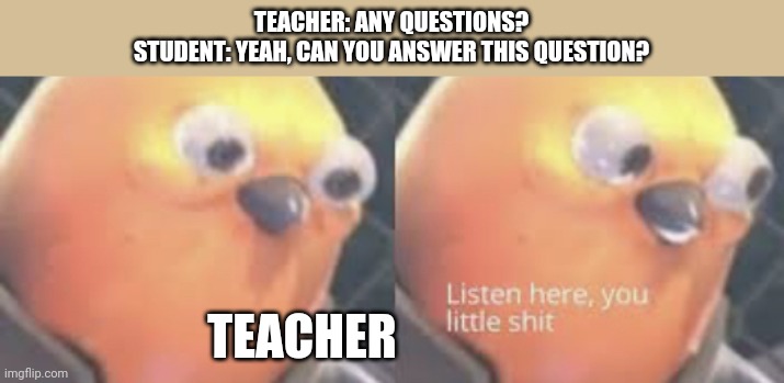 Listen here you little shit bird | TEACHER: ANY QUESTIONS?
STUDENT: YEAH, CAN YOU ANSWER THIS QUESTION? TEACHER | image tagged in listen here you little shit bird | made w/ Imgflip meme maker