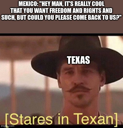 TEXAS: no | MEXICO: "HEY MAN, IT'S REALLY COOL THAT YOU WANT FREEDOM AND RIGHTS AND SUCH, BUT COULD YOU PLEASE COME BACK TO US?"; TEXAS | image tagged in stares in texan,texas,history | made w/ Imgflip meme maker