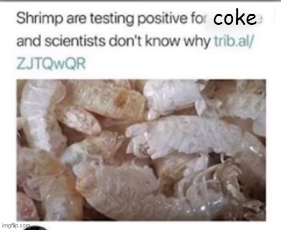 its censored i have no clue why but got the answer because audio meme reading | coke | made w/ Imgflip meme maker