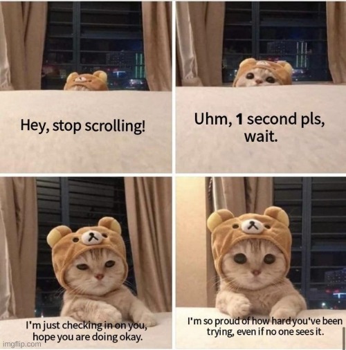 Do not stop before check out | image tagged in wholesome,wholesome 100,stop scrolling,thanks | made w/ Imgflip meme maker